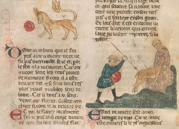 Bestiaire d’Amour. Иллюстрация. | Фото: hyperallergic.com.