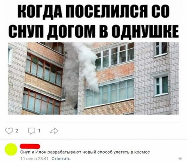 Прикольные комментарии из соцсетей
