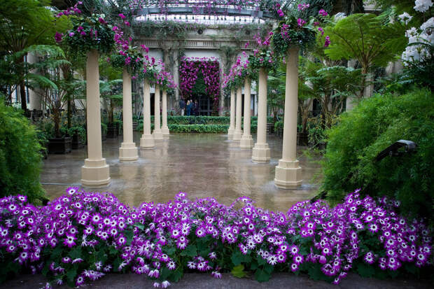 http://img.fotocommunity.com/Mid-Atlantics/Pennsylvania/Longwood-Gardens-Kennett-Square-Pennsylvania-a17937723.jpg