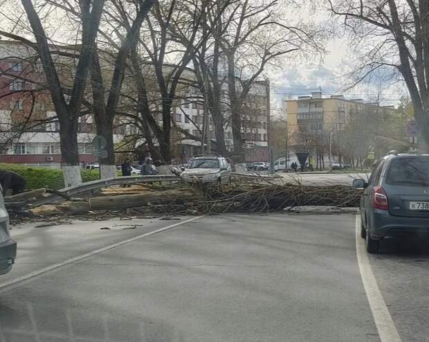 На Новгородчине шквал оставил без света более двух тысяч человек в двенадцати округах