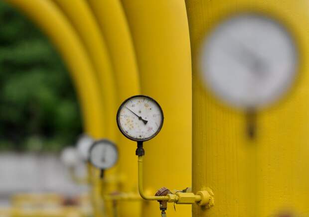 Фото: www.globallookpress.com