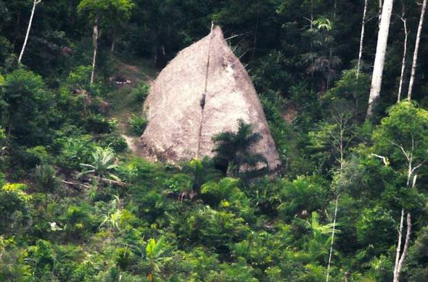 Первые фото неконтактного племени, обнаруженного в лесах Амазонки 