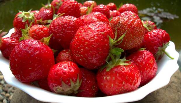 Клубничное настроение: сезонные ягоды без вреда для желудка