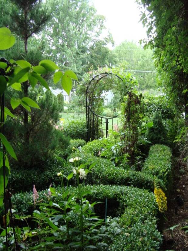 красивые уголки сада - металлическая калитка