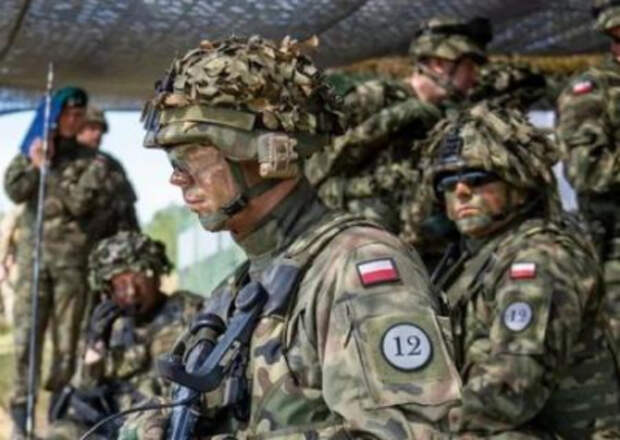 Поляки уже воюют на Украине и готовят создание нового государства Поляки уже воюют на Украине и готовят создание нового государства