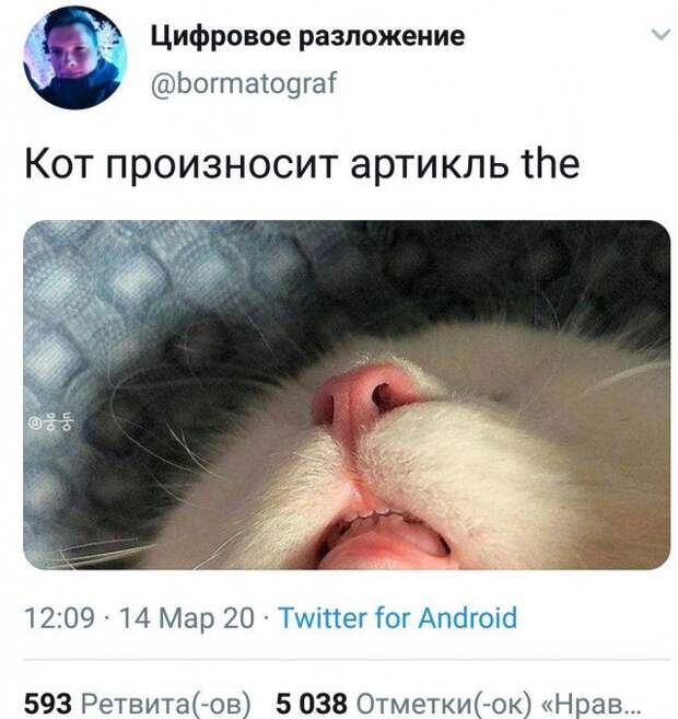 1584478514_kartinki-2.jpg