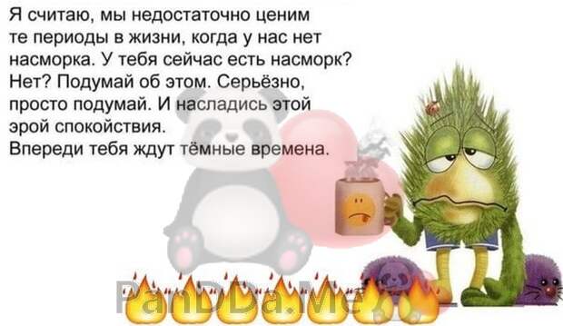 Недостаточно уважать. Жизнь без насморка. У тебя насморк. Мы недостаточно ценим периоды когда не было насморка. Вот у тебя сейчас есть насморк.