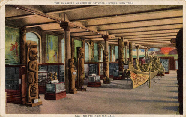 A postcard depicting the North Pacific Hall in the American Natural History Museum.