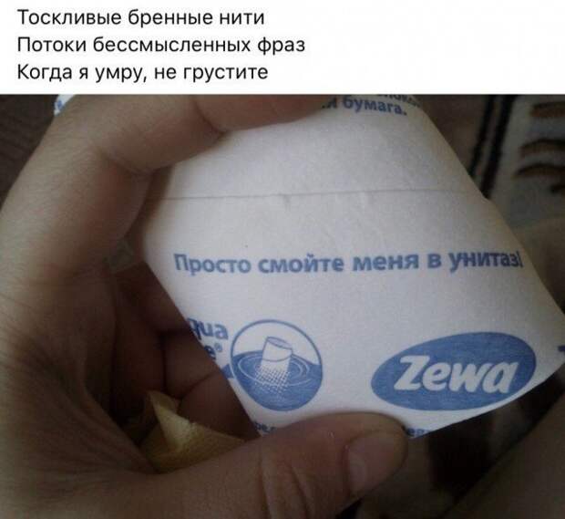 Рифмоплеты из социальных сетей просто в ударе! Рифмоплеты из социальных сетей просто в ударе!