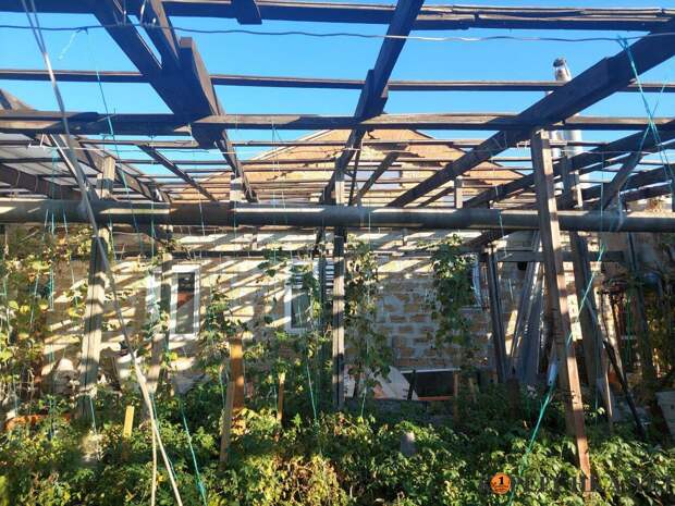 Домовладение - Квартира на земле в Донецке - Договорная