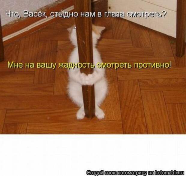 Котоматрица для ночных посетителей Поржать.ру
