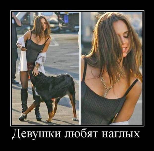 Новые демотиваторы. Очень прикольная подборка.