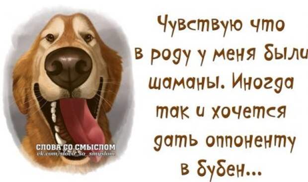 Позитив и веселье вот наш девиз!