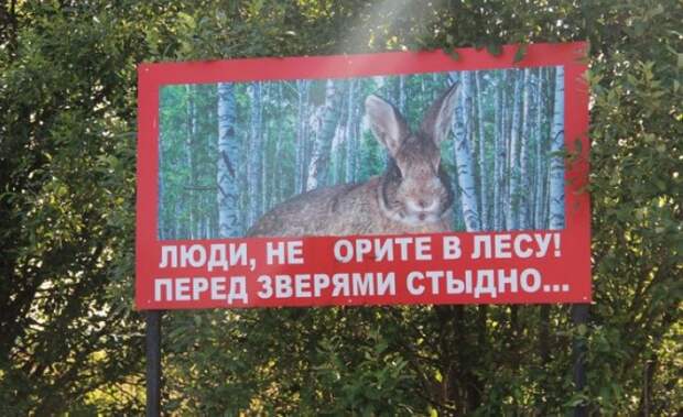 Забавные надписи и объявления Забавные надписи и объявления