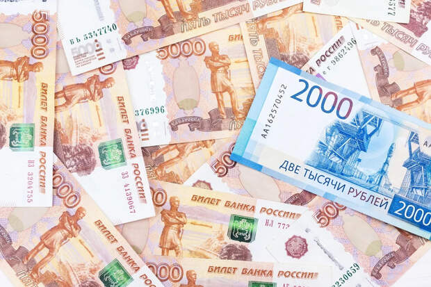 Миллионы на "бумажной" земле: в Петербурге раскрыли схему с многодетными семьями