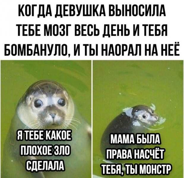 Подборка картинок