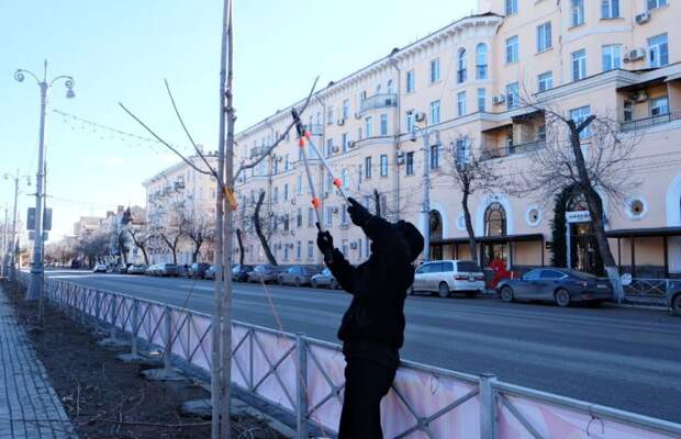 В Астрахани к весне готовят зеленые насаждения и поливочные системы