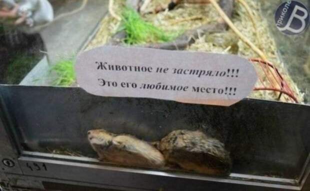 не застряло