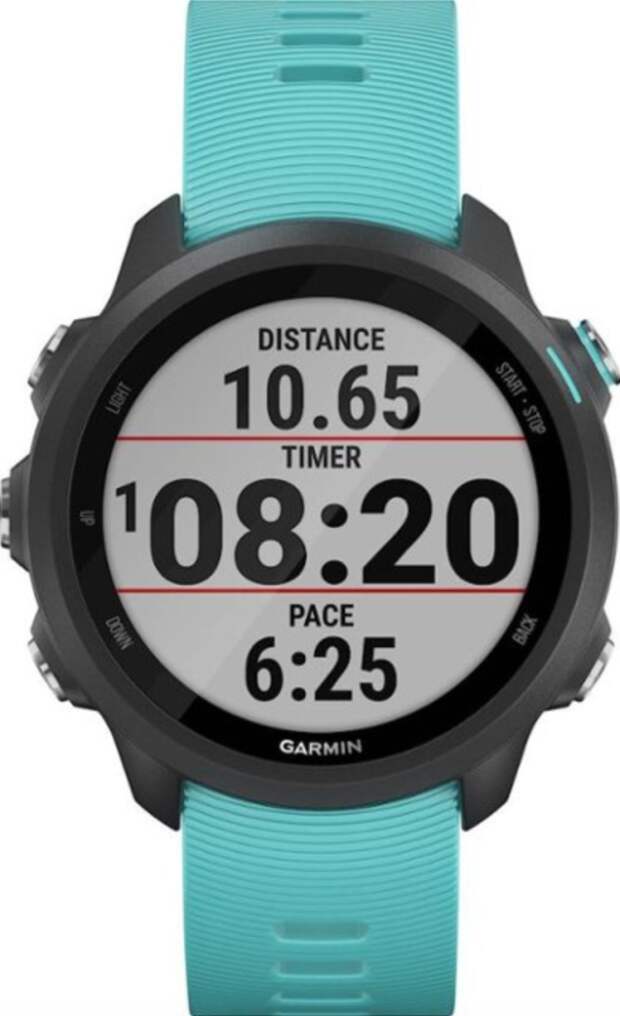 Garmin