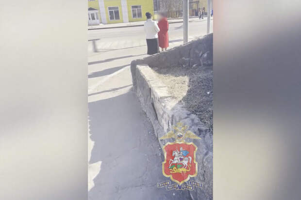 В Подмосковье гадалка за шесть лет выманила у пенсионерки 8 млн рублей