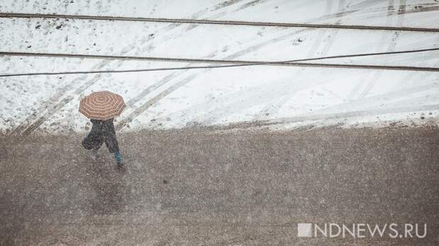 Мокрый снег в Москве прогнозируется до конца дня 10 апреля