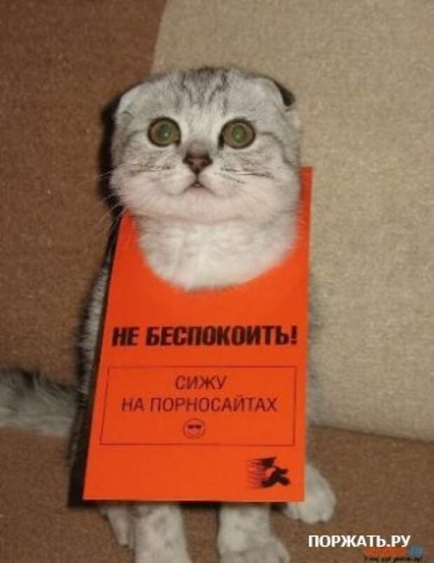 Прикольности (16 фото)