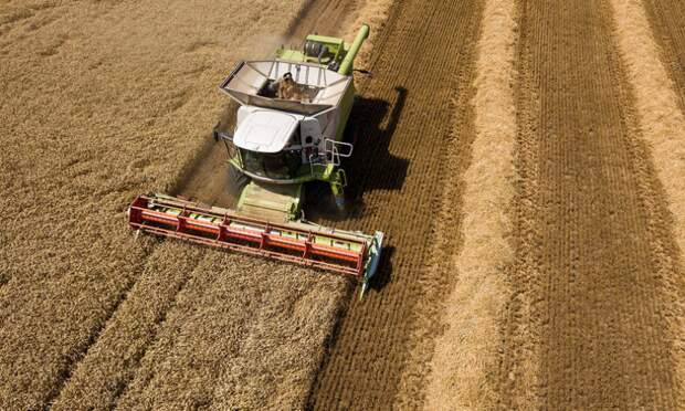 В России ожидают рекордный урожай зерновых в 2022 году