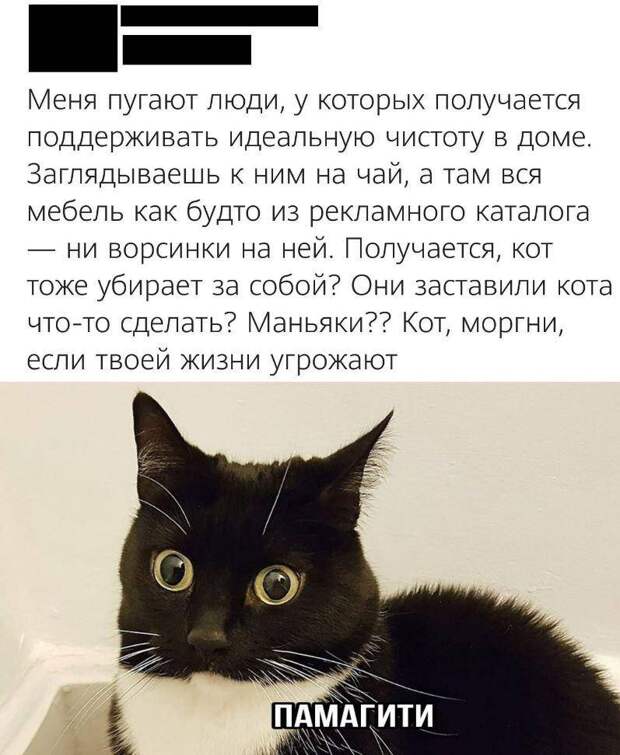 картинки приколы (17)