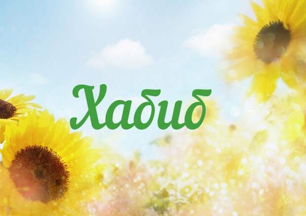 Значение имени Хабиб
