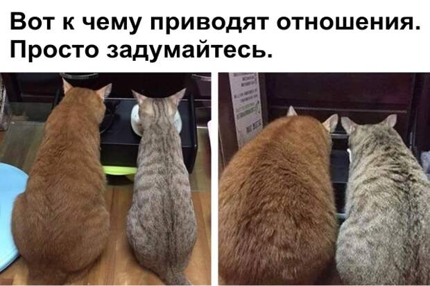 Подборка прикольных картинок