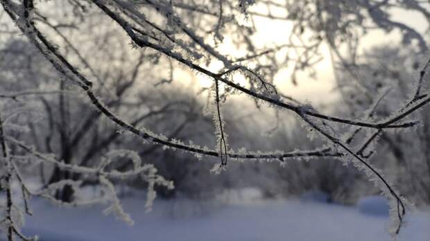 Зима. Мороз. Иней / Фото: amic.ru