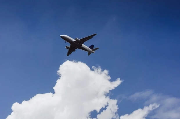 Lufthansa отменила почти 800 рейсов из-за забастовки