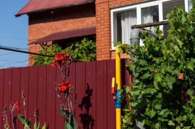 Врач Крашкина рассказала о влиянии садоводства на психическое здоровье