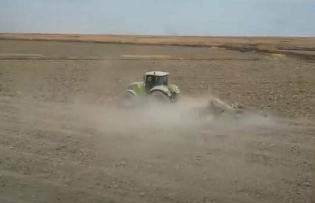 Новые сорта риса проходят испытания на полях в Казахстане