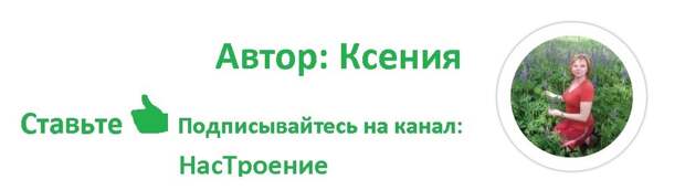 Слизни - весенние проблемы садоводов и как с ними справиться
