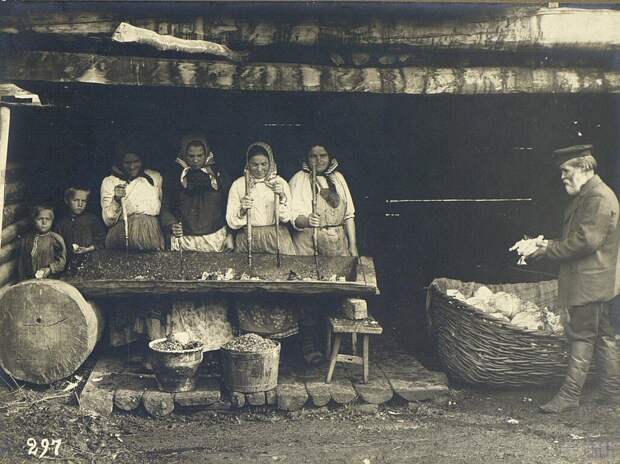 Рубка капусты. Неизвестный автор, 1900 - 1905 год, Оренбургская губ., Кунсткамера.  