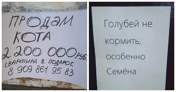 О, эти бесподобные объявления от самых веселых и находчивых О, эти бесподобные объявления от самых веселых и находчивых в россии, объявления, прикол, смешные объявления, фото