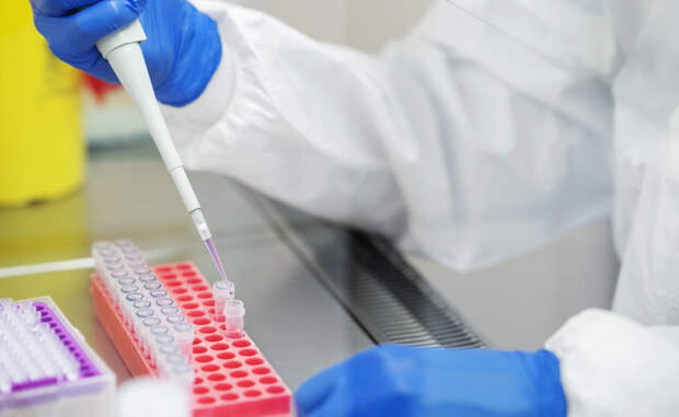 Академик Гинцбург предупредил об отсутствии лекарства от опасного вируса Нипах