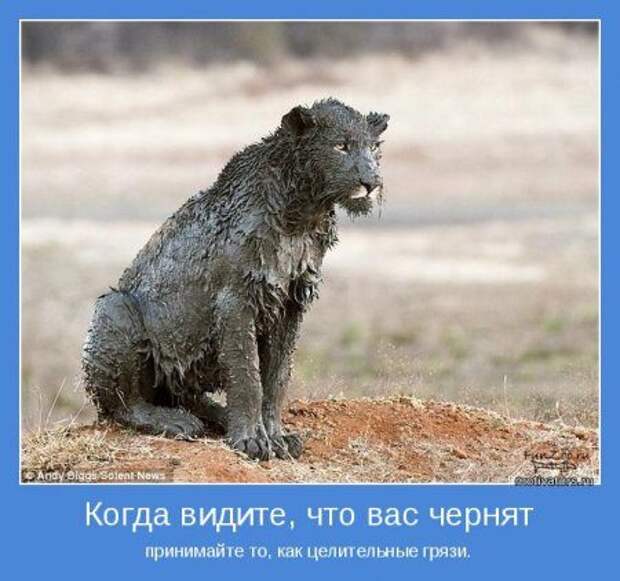 Мотиваторы. Живём и РАДУЕМСЯ!