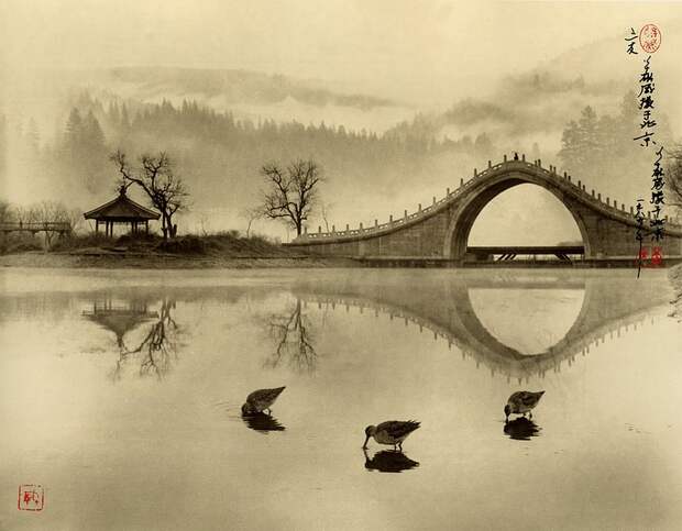 Красивые фотографии