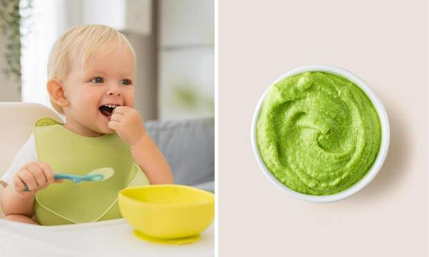 Сколько хранится детское пюре после вскрытия — магазинное и домашнее