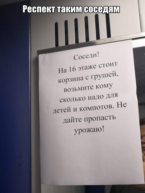 Подборка картинок. Вечерний выпуск (30 фото)