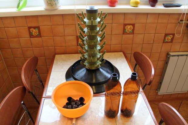 Пиво в домашних условиях пиво, дома