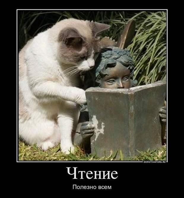 Читать - полезно для здоровья