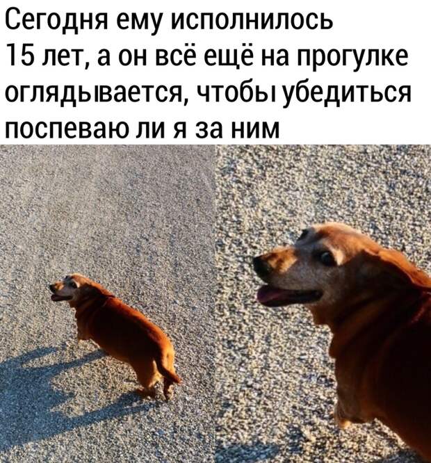 Самый хороший мальчик