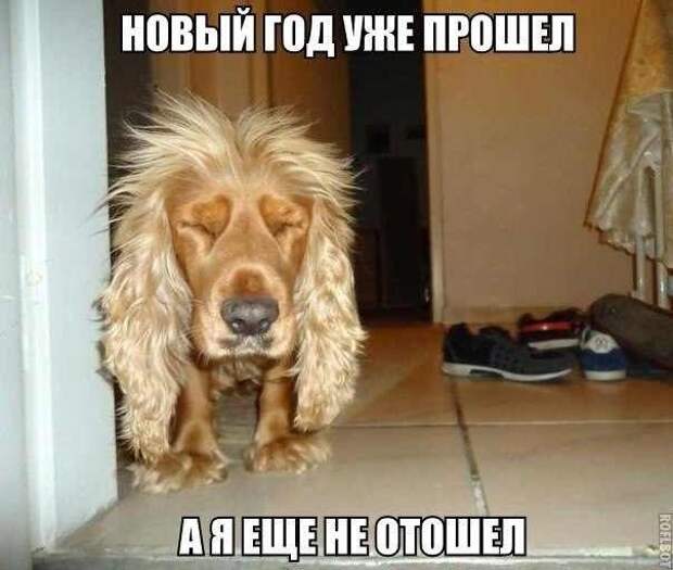 Всяко - разно 6  )))