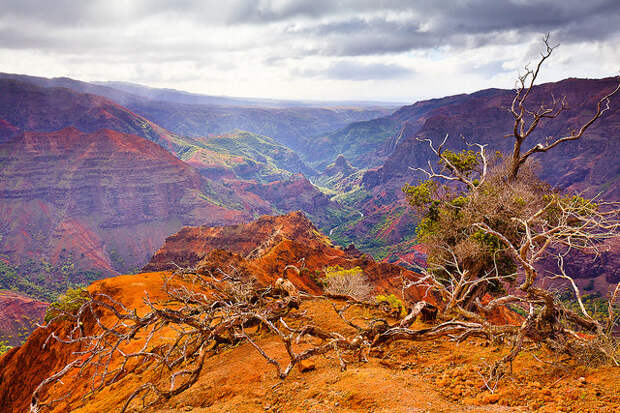 waimea-canyon-03