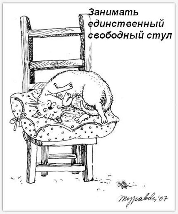 Обязанности кота по дому (9 фото) Обязанности кота по дому (9 фото)