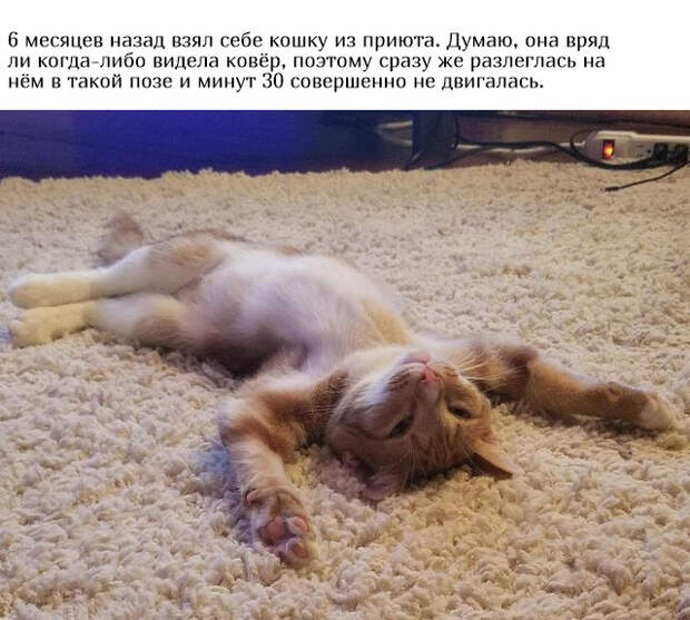 www.vsyako.net