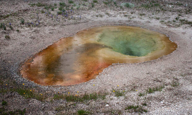 Йеллоустоун (Yellowstone)